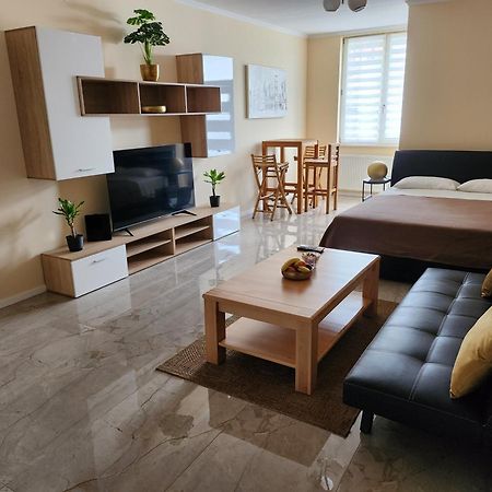 Studio Apartman Borlin Karlovac Extérieur photo