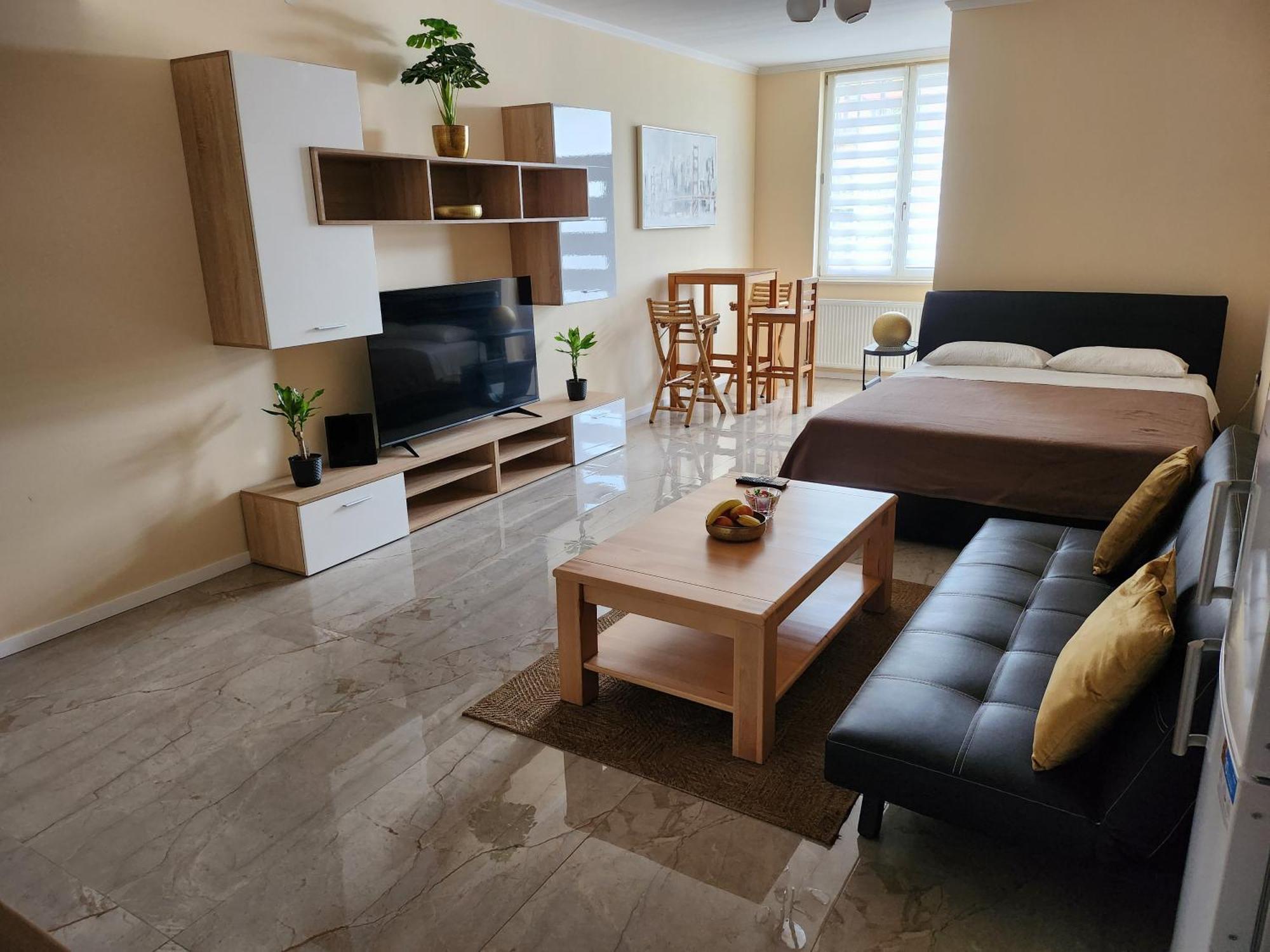Studio Apartman Borlin Karlovac Extérieur photo